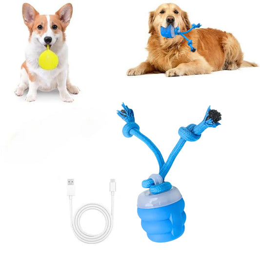 🔥Interactive electronic calming toy ball for pets